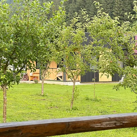 Family House Kryvorivnia Casa vacanze *