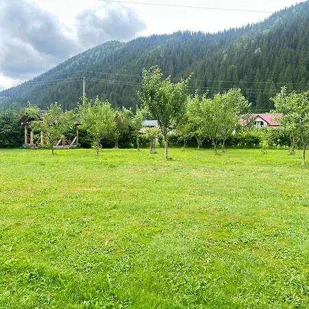 Family House Kryvorivnia Verkhovyna